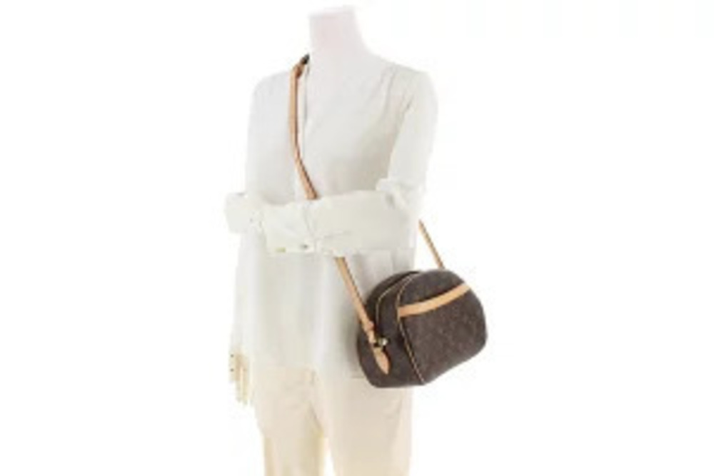 Louis Vuitton Blois Shoulder Monogram Bag